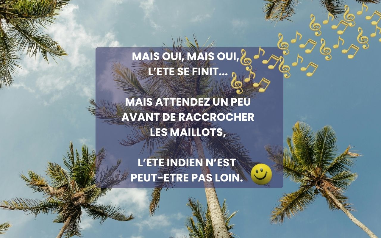 Image banner 3
