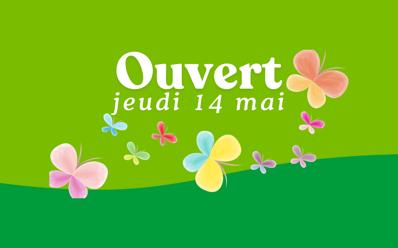 Image banner 1