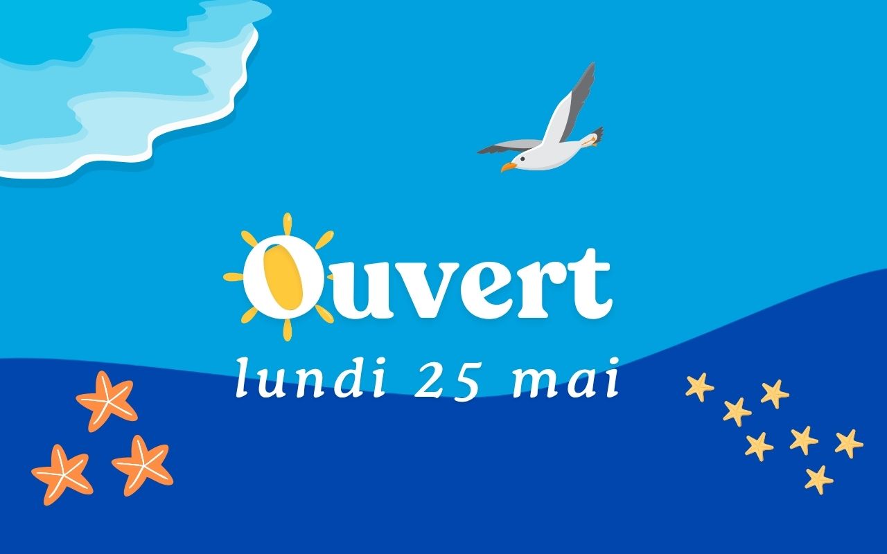Image banner 1